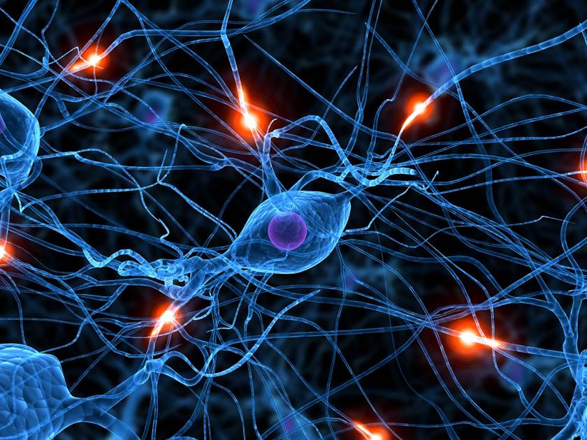 http://www.androidheadlines.com/wp-content/uploads/2013/02/Synapses.jpg